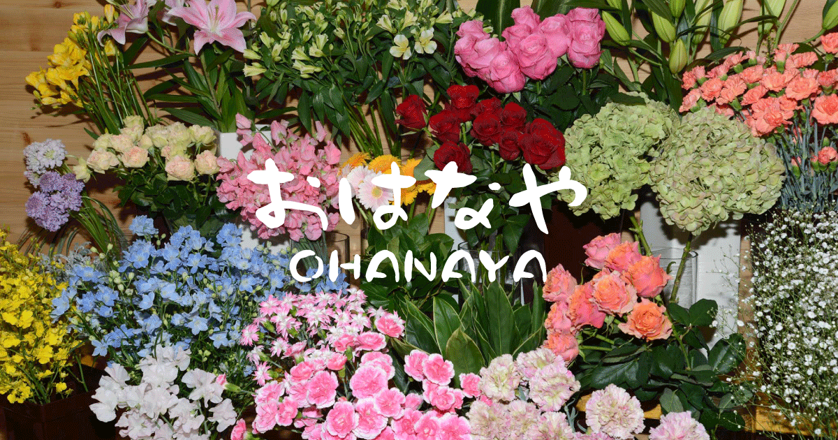 おはなや｜札幌市西区発寒のお花屋さん 